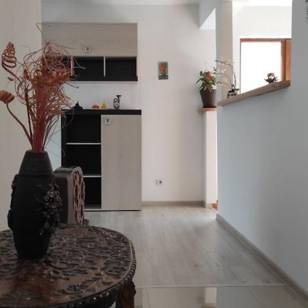 Apartament Trei Stejari Сибиу Экстерьер фото
